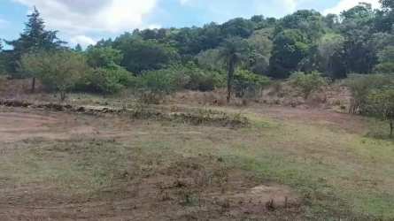 Fertile agricultural acreage at the foot of Barú volcano in Volcán Chiriquí Panama