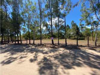 Open lot with tropical foliage perfect for residential construction Sea Cliff Panama