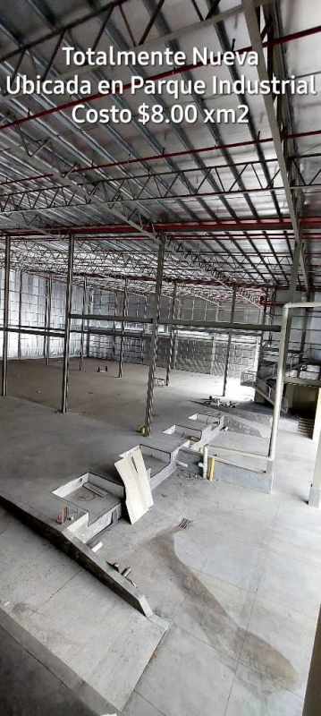 Expansive interior of newly built industrial warehouse with 14-meter ceilings and open floor plan at Parque Industrial Las Mañanitas Panama