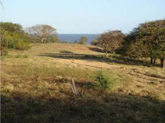 Open rolling coastal land with natural vegetation in Santo Domingo Panama
