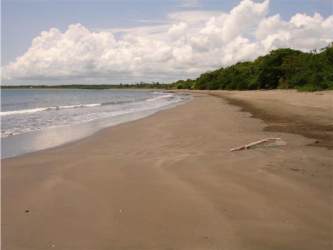 Scenic oceanfront with native vegetation and open landscape Las Tablas