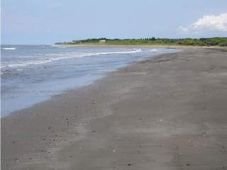 Vacant Beachfront Development Land for Sale in Santo Domingo - 0 bedrooms