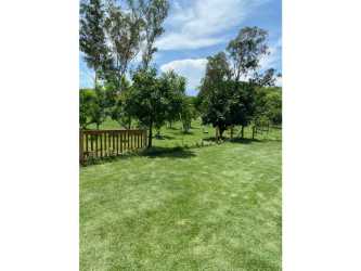 Bright bedroom with large doors garden view Terra Viva Coronado Panama