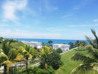 Spacious open-plan living dining overlooking ocean in Bijao Quarry Heights