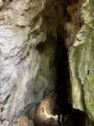 Aerial showing outline of large forested land parcel on Lake Alajuela