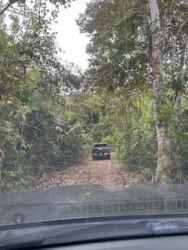Dense tropical woodland with dirt pathway on teak farm Colón Panama for investment sale