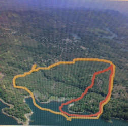 Dirt trail surrounded by tall lush trees and greenery on teak plantation Colón Panama