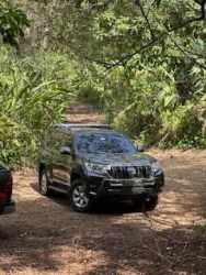 SUV parked on dirt driveway through wooded farmland in San Juan Colón Panama