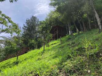 Natural slope on wooded mountain land for sale Altos del María Panama