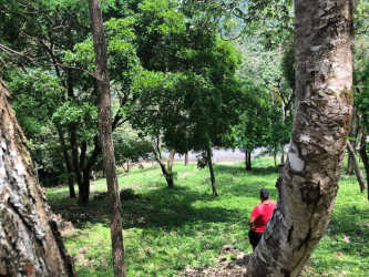 Forested vacant lot with nature surroundings in Altos del María