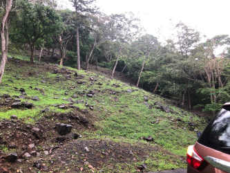 Forested mountainside lot for sale Panama Oeste Altos del María Lucca Sector