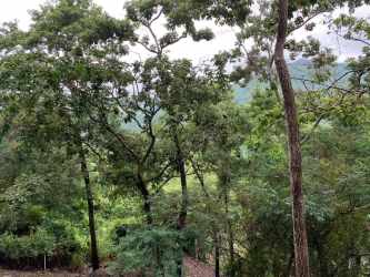 Paved road adjacent to land for sale in gated Altos del María community