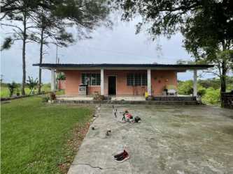 Waterfront scenery with palm trees, boat access and garden in Lago Mar San Carlos