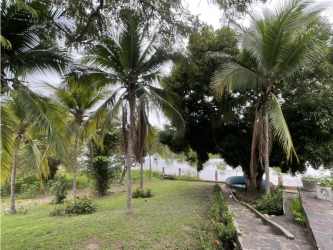 Waterfront with palm trees, walkway and tropical landscaping Lago Mar San Carlos