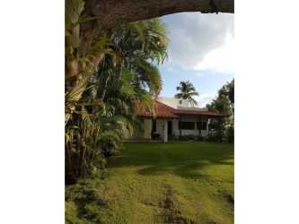 Large lawn tropical palms lush garden villa exterior beach house Panama