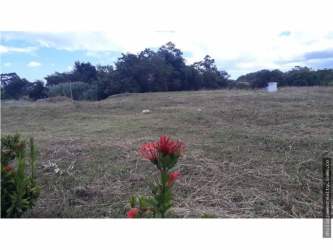 Community site plan showing lot layout and cul-de-sac design Hacienda Pacifica