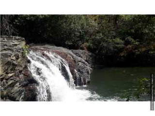 Land for Sale in San José - 0 bedrooms