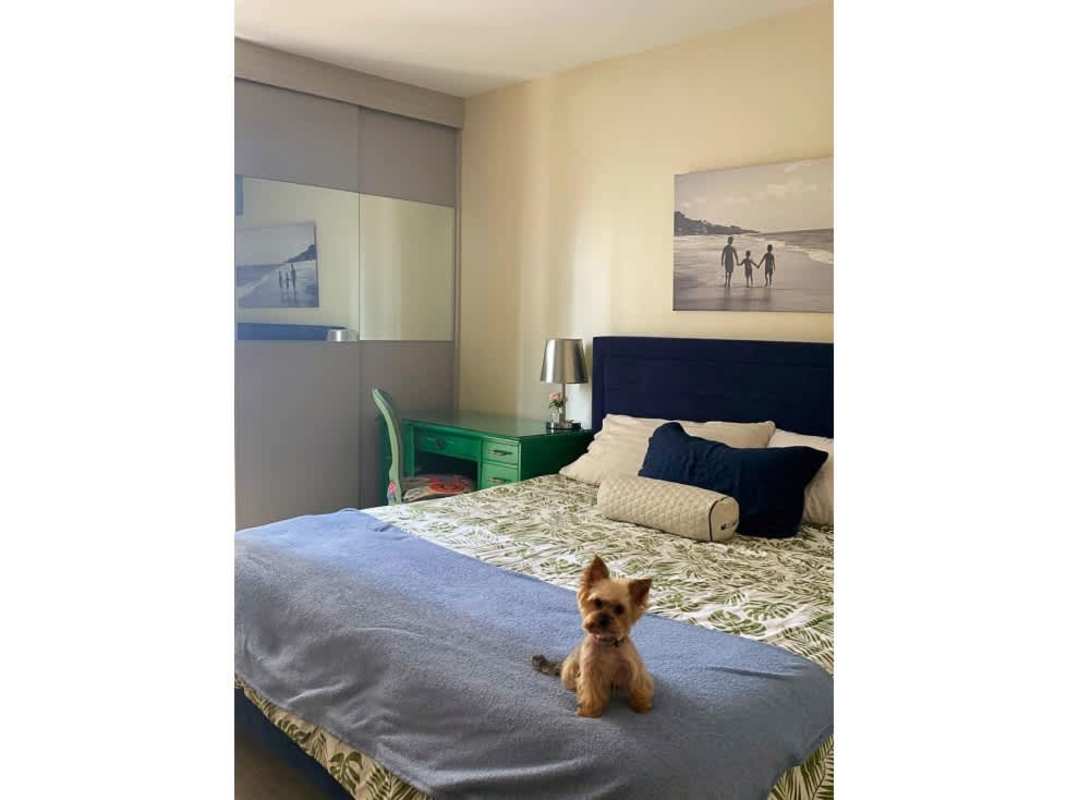 Bedroom with built-in mirrored closet and natural light PH Sophia Towers Panama City