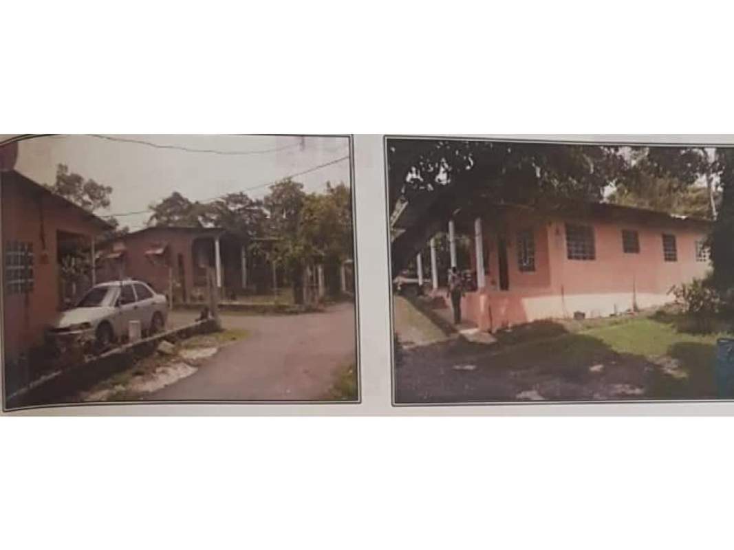 Greenery dense vegetation with neighboring homes La Chorrera Panama