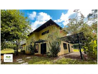 Mediterranean yellow facade with outdoor dining terrace at PH Arboleda Santa Cruz