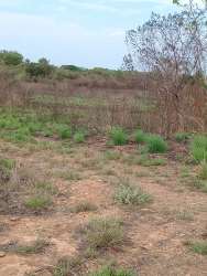 Rural land view showing grass open field with some mature trees, flat topography in Aguadulce Coclé