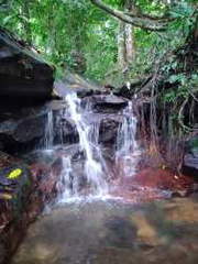 Farm Land for Sale in La Pintada - 0 bedrooms