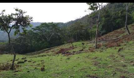 Scenic rural farmland with mountain views near Penonomé perfect for water extraction