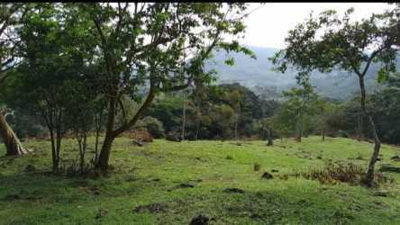 Gravel road with lush vegetation inside spring water farm in Penonomé Panama