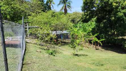Large fenced natural yard with mature tropical trees in San Carlos near Coronado Panama