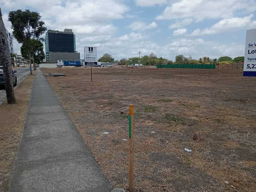 Panoramic angle of vacant commercial lot with boulevard and skyline in Santa Maria Business District