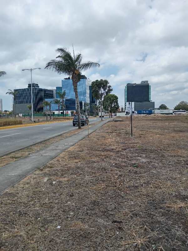 Cleared commercial parcel surrounded by newly developed towers and offices in Santa Maria Panama