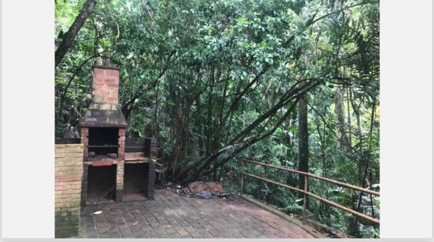 Outdoor basketball court surrounded by garden and jungle in Ancon Hill Panama