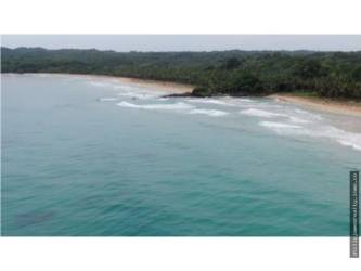 White sandy beach with palm fringe and dense tropical foliage Bahia Clara Panama