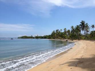Aerial coastal peninsula on Caribbean sea with forested landscape Panama