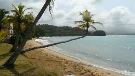Expansive white sand beaches bordered by jungle coastline Caribbean Panama