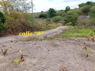 Cleared hillside land plot with dirt road access Calle B near Playa Corona Panama
