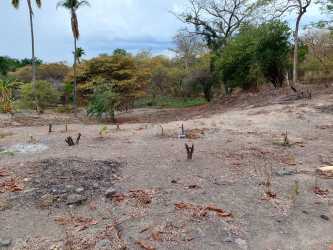 Dry soil with panoramic view land plot with trees close to Pacific beaches of Panama at Playa Corona for sale
