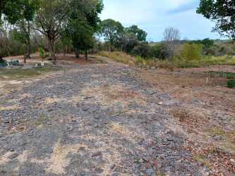 Rustic open countryside land panning mature trees and gravel path near Playa Corona beach in Panama
