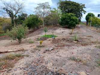 24,293 m² Beach Proximity Land for Tourism/Residences Playa Corona