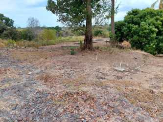 Cleared rural land plot with trees survey stakes close to Pacific beach in San Carlos Panama available for sale