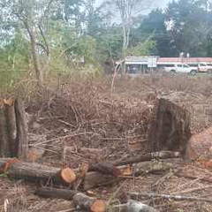 Land for Sale in Divisa sector - 0 bedrooms