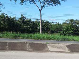Vacant lot with fence, natural vegetation and highway exposure Divisa entrance Panama