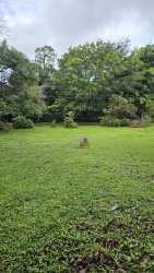 Flat corner land with green grass surrounded by trees near attractions in El Valle