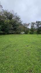 Flat lot with green lawn and mature trees in El Valle near attractions for sale