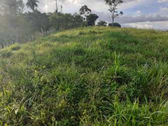 4.8 Hectares Scenic Ranch Land Santa Cruz Renacimiento Chiriquí