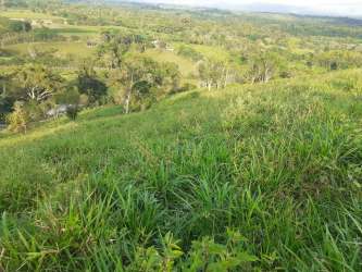 Lush rolling hillside suitable for agriculture or cattle Santa Cruz Renacimiento Panama