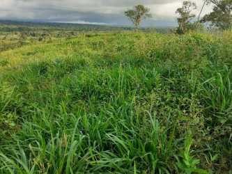 Farm pasture with gentle slope and open countryside views in Renacimiento Chiriquí Panama