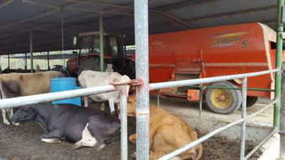 Farmland/Ranch for Sale in El Guayabal / Los Olivos - 6 bedrooms