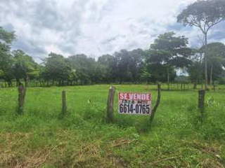 Commercial Land for Sale in San Pablo Viejo - 0 bedrooms