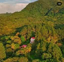 Cabins with red roofs amid lush tropical forest at finca for rent Panama